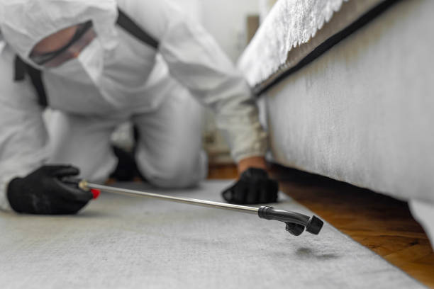 Professional Bed Bug Control technician working in West Fargo, ND