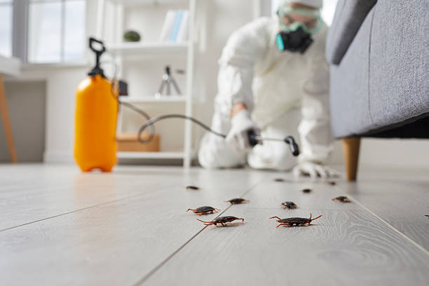 Trusted Cockroach Control service in West Fargo, ND - Nex Pest Control